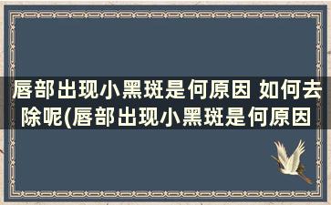 唇部出现小黑斑是何原因 如何去除呢(唇部出现小黑斑是何原因 如何去除掉)